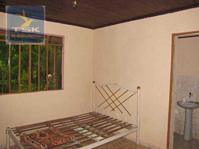 Chácara rural à venda, 4 pinheiros, mandirituba. - Foto 7