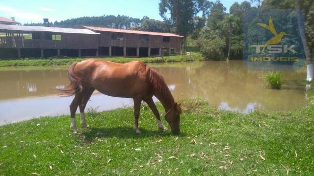 Fa0009 fazenda à venda, 605000 m² por r$ 3.150.000 - zona rural - quitandinha/pr - Foto 19