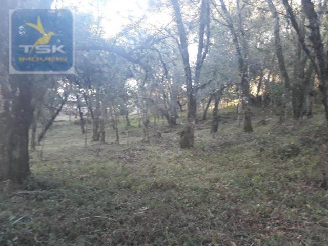 CH0300 - Chácara Agudos do Sul 12.100 m² 3 km da cidade - Foto 9