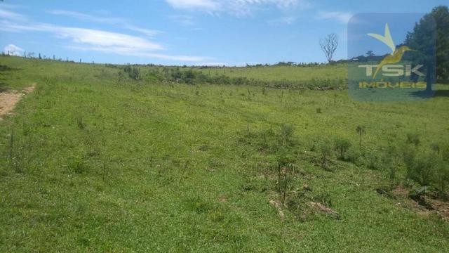 Fa0009 fazenda à venda, 605000 m² por r$ 3.150.000 - zona rural - quitandinha/pr - Foto 17