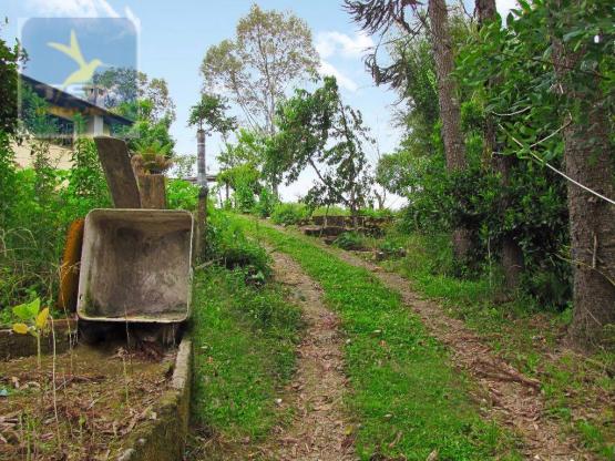 Chácara rural à venda, 4 pinheiros, mandirituba. - Foto 12