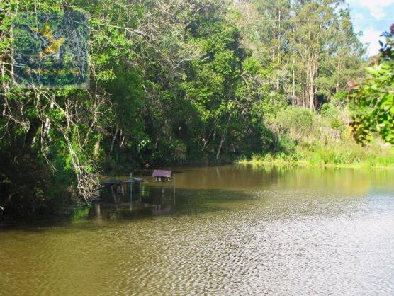 Ch0137 - chácara mandirituba 1 alq. 32 km de curitiba - Foto 18