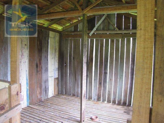 Ch0223 - chácara com 2 dormitórios à venda, 10935 m² por r$ 337.000 - zona rural - agudos - Foto 15