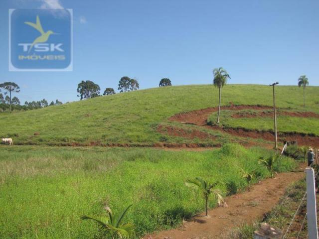 Ch0188 cerro azul chácara 12 alq. 57 km de curitiba/atuba - Foto 3