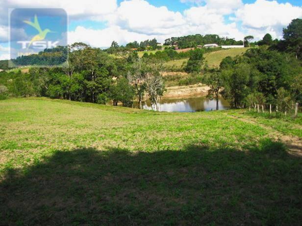 Ch0137 - chácara mandirituba 1 alq. 32 km de curitiba - Foto 10
