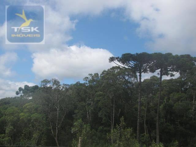 Piraquara chácara 64.471,25 m² planta deodoro infinitas possibilidades dentro da cidade ch - Foto 18