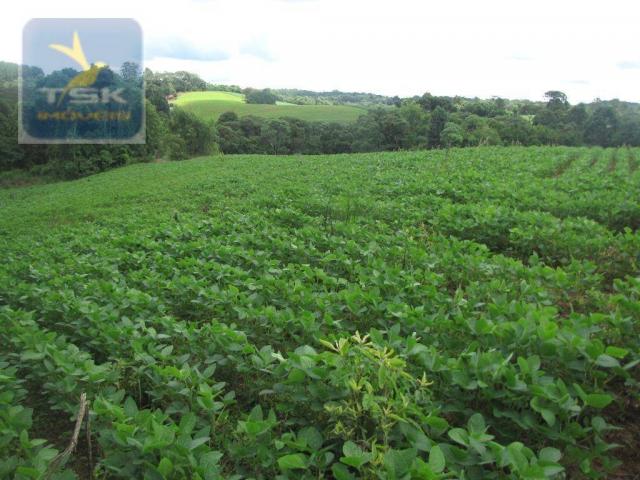 Ch0197 - área para formar chácara araucária - tietê 36.300 m² luz e água - Foto 2