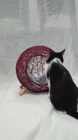 Toca retrô para gatos - Foto 2