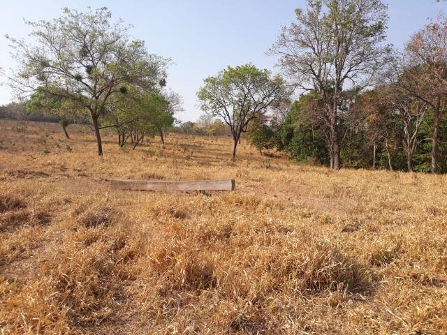 Vendo uma chácara, de 54 hectares em chapada - Foto 5