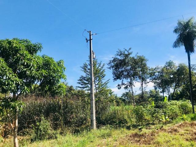 Vendo Chacara no Distrito de Santo Antonio - Foto 12