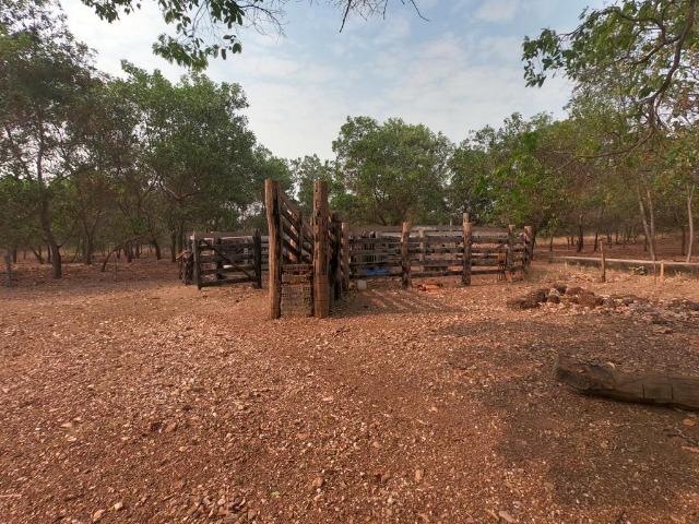 Vendo Sítio com 10 hectares à 23 Km de Cuiabá sentido Santo Antonio, - Foto 10