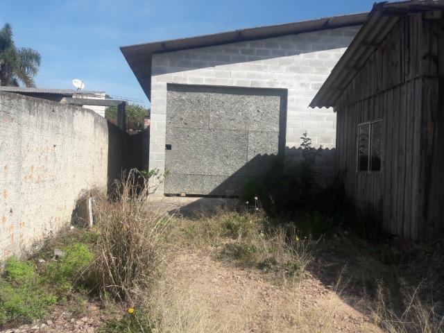 Terreno Borda do Campo - Foto 3