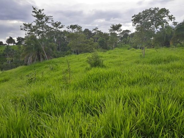 Vendo uma chácara, de 54 hectares em chapada - Foto 16
