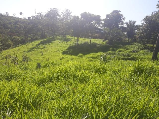 Vendo uma chácara, de 54 hectares em chapada - Foto 12