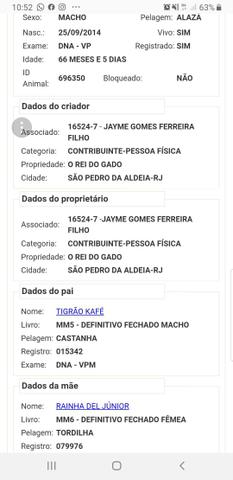 Manga larga picada Tigrão Kafé - Foto 2