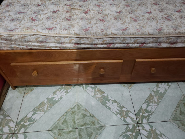 Cama