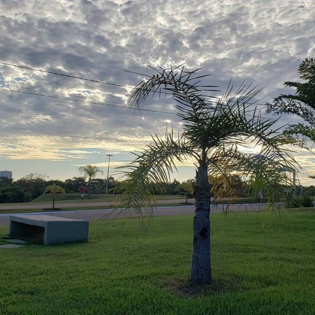 Lote condomínio florais dos lagos