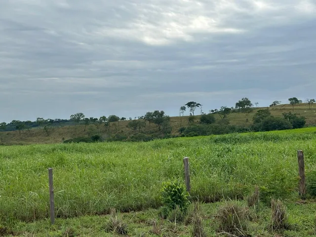 Fazenda em Ponte Alta. Pecuária. Top.