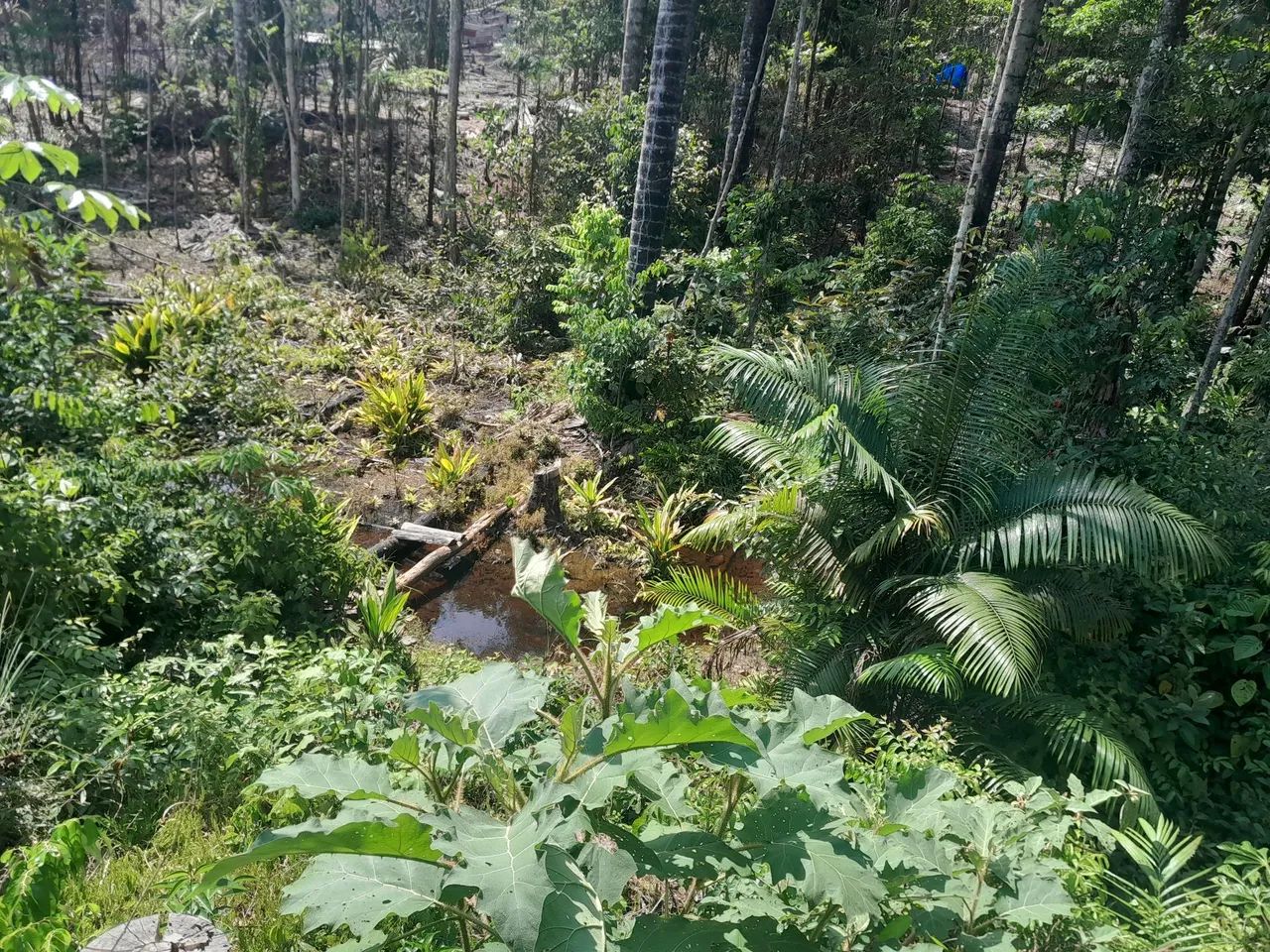 foto - Manaus - Jorge Teixeira