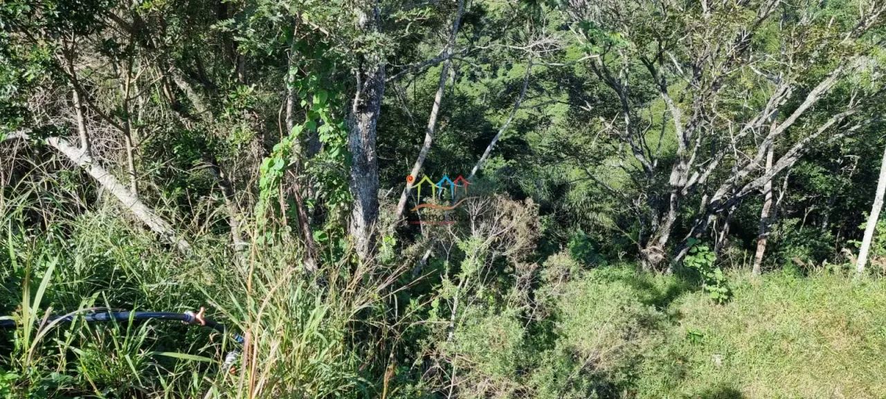 Terreno a venda em Ilhabela - Foto 7