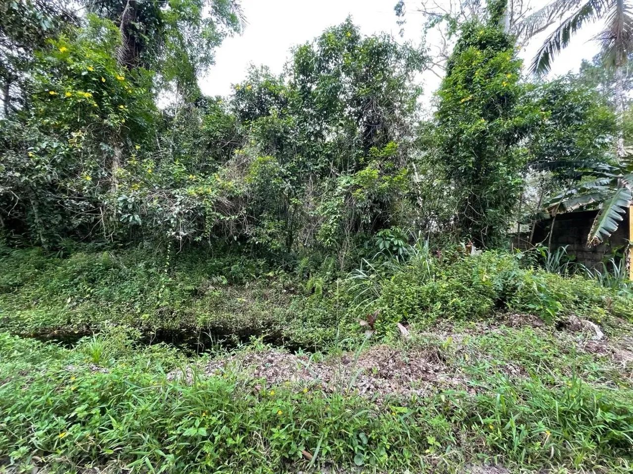 Chácara para Venda em Itanhaém, Chacaras Gaivotas - Foto 2