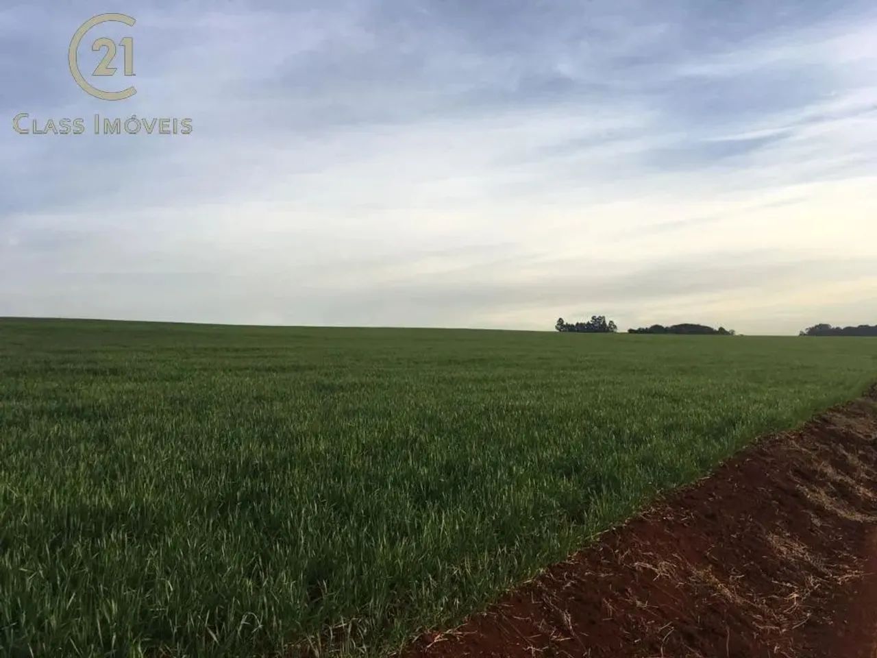 Sítio à venda em Marilândia do Sul, Centro, com 200 m² - Foto 4