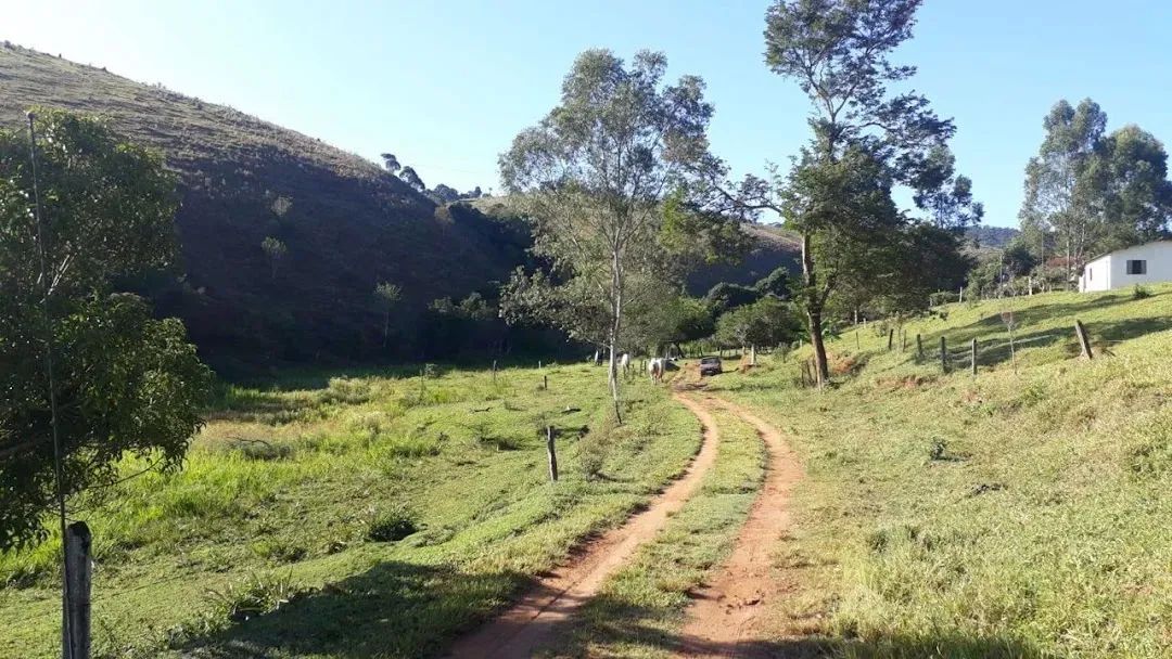 Área Comercial de 911 hectares com Pastagens e Eucaliptos em Centro, Passa Quatro, MG. - Foto 4
