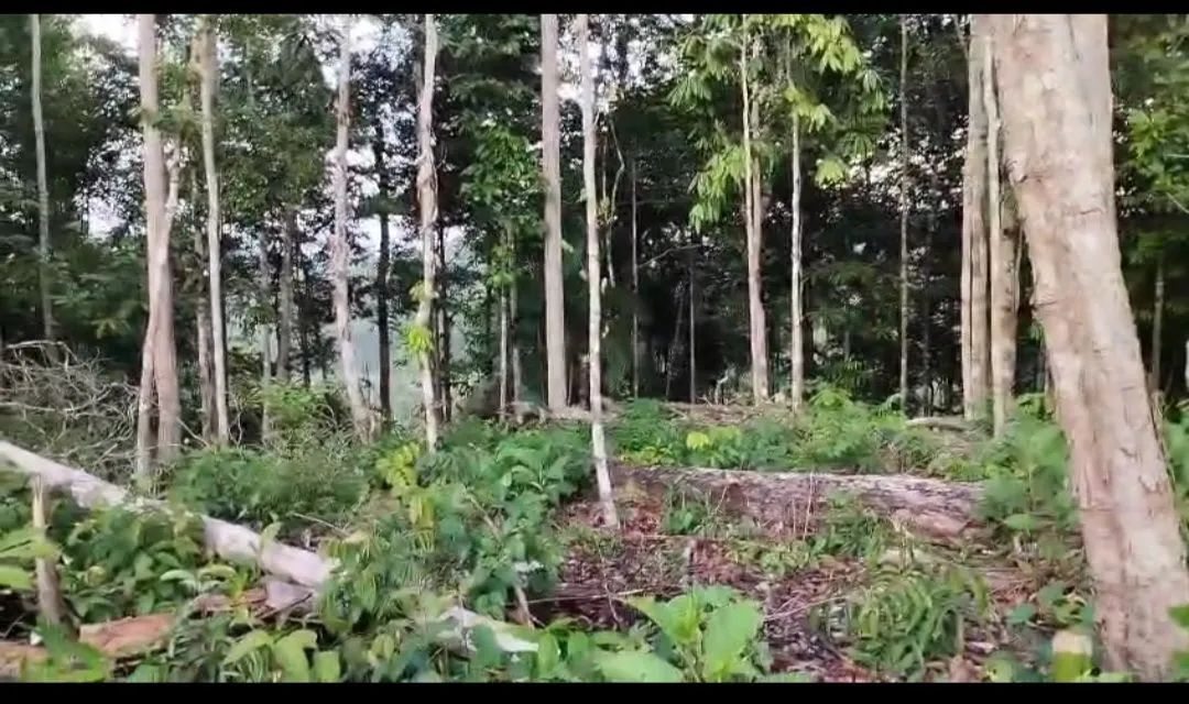 Vendo ou troco por uma casa, um terreno no rio preto da eva, aceito propostas