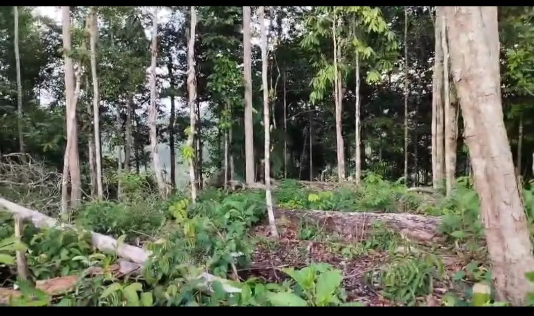 Vendo ou troco por uma casa, um terreno no rio preto da eva, aceito propostas