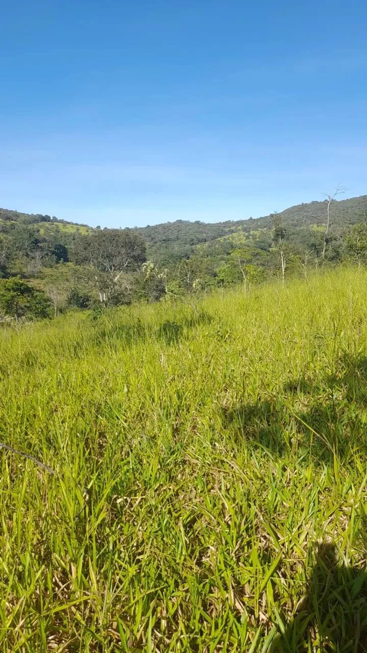 Fazenda 55 Alqueires BR 414 Cocalzinho de Goiás - Foto 4