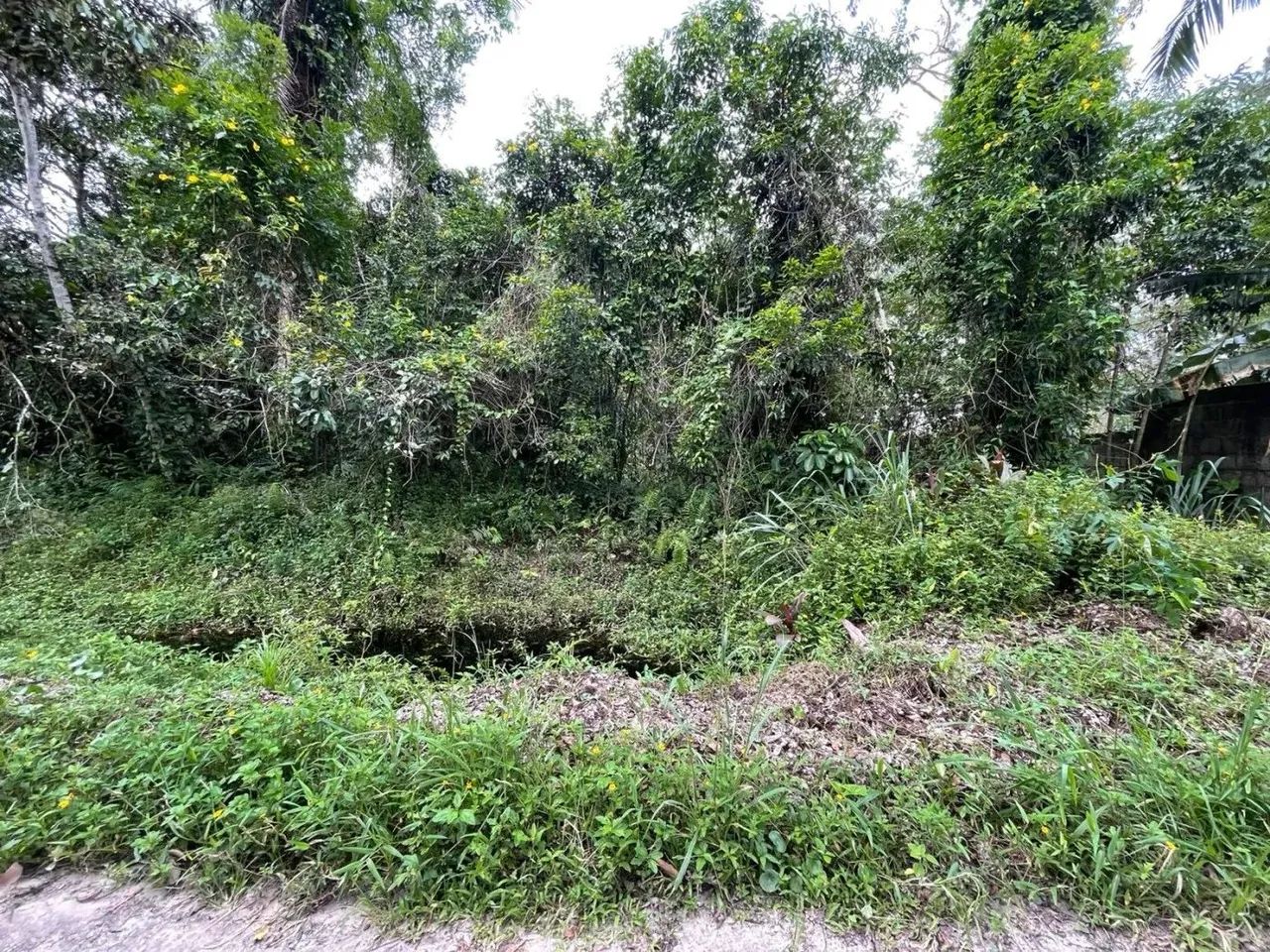 Chácara para Venda em Itanhaém, Chacaras Gaivotas - Foto 3