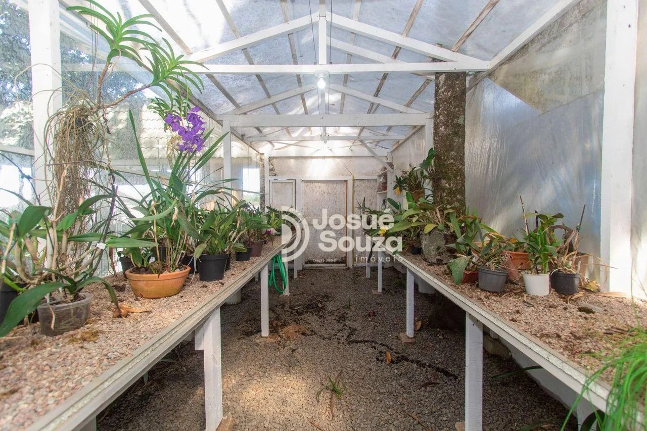 Chácara a venda em Campo Largo próxima a Rodovia do Café com 24.400 m² com residência de 3 - Foto 5
