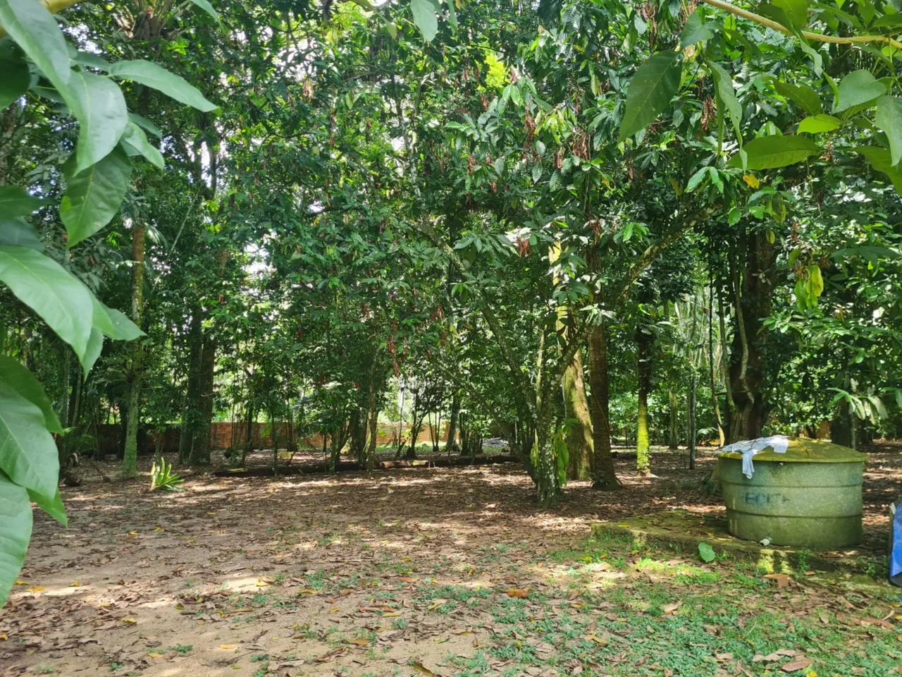 Foto - Santa Bárbara do Pará - 