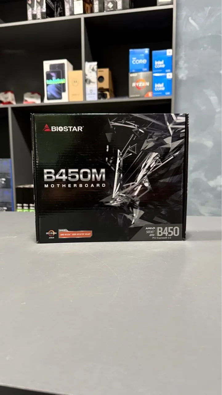 Placa mãe B450m Biostar (Nova Lacrada) 