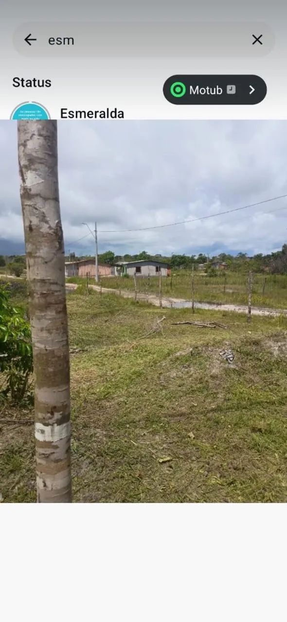 Terreno mosqueiro