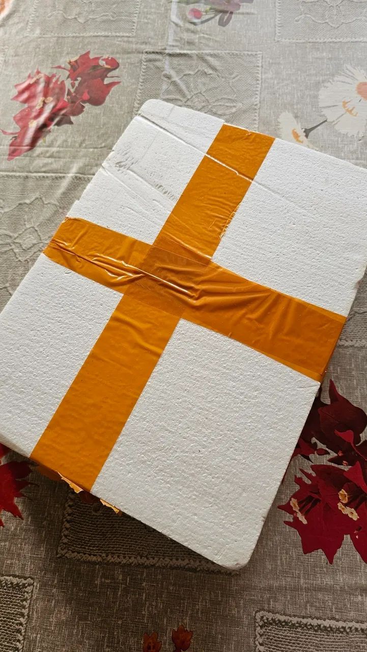 Tela Ipad Pro 11 2020 - Foto 4