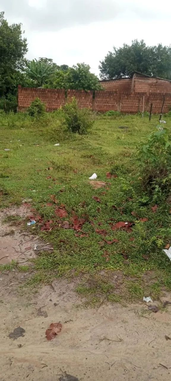Terreno 20 mil pra por preço  - Foto 3