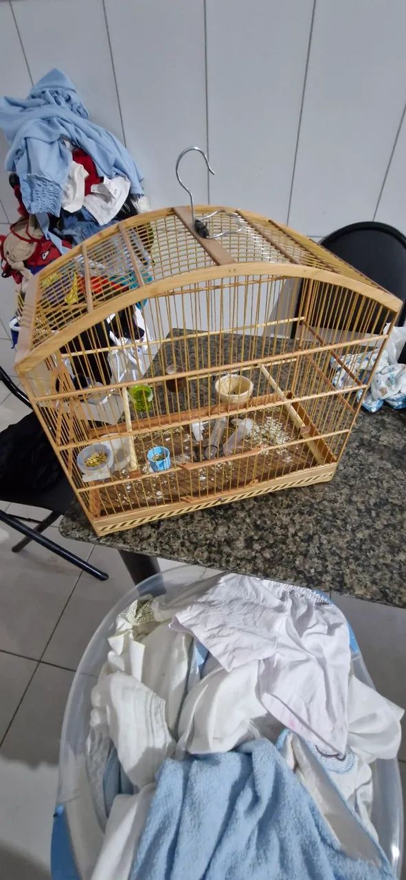 Gaiola uma semana de uso - Foto 3