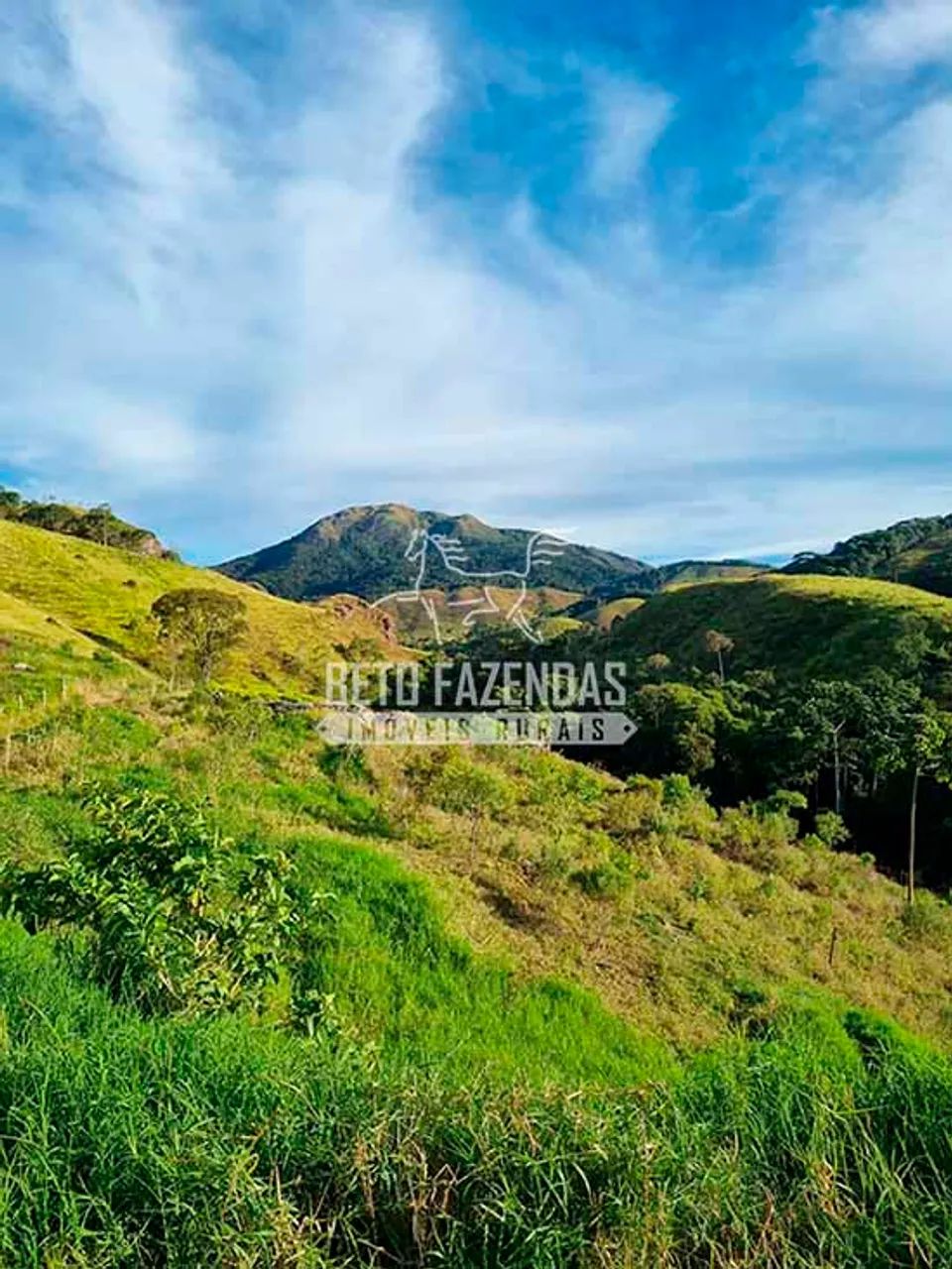 Imóvel para venda com 4840000 metros quadrados em Vila da Grama - Trajano de Moraes - RJ - Foto 4