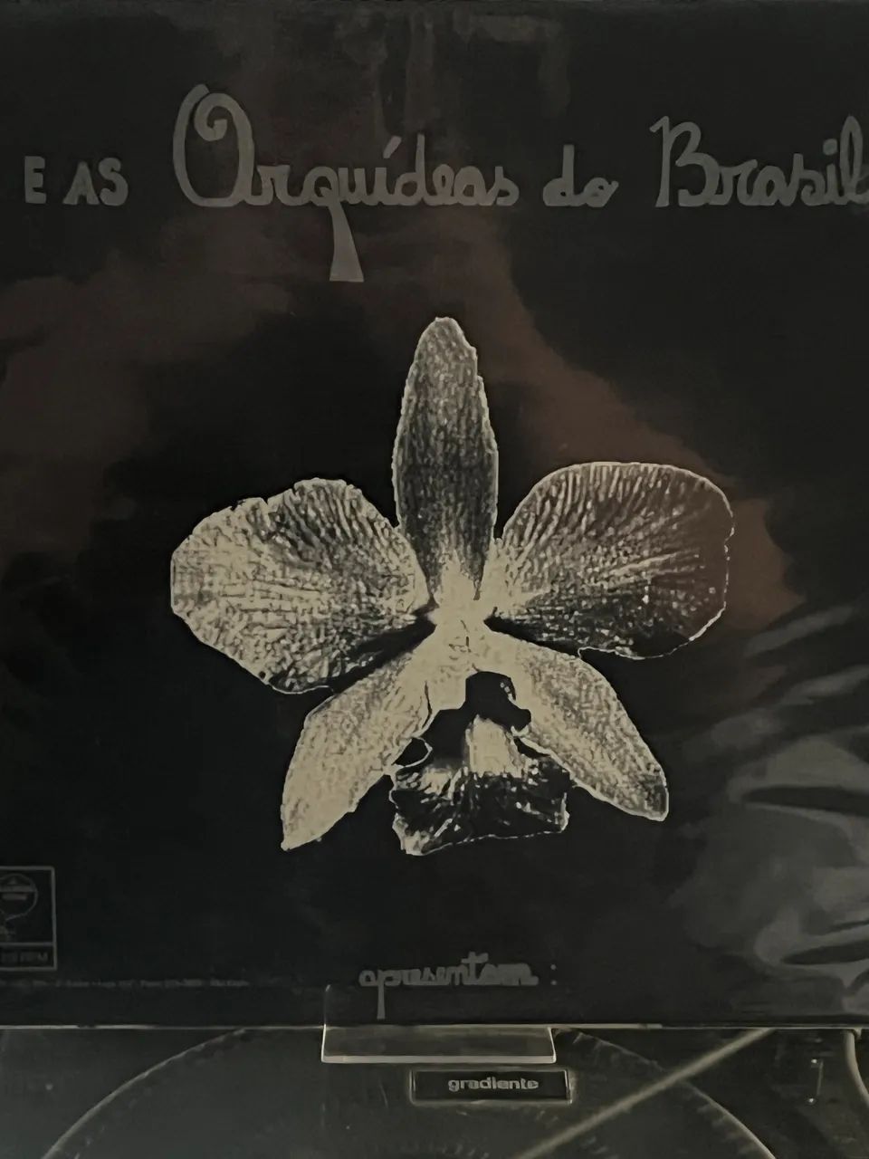 LP - ITAMAR ASSUMPÇÃO E AS ORQUÍDEAS DO BRASIL - BICHO DE 7 CABEÇAS VOL 2 - Foto 3
