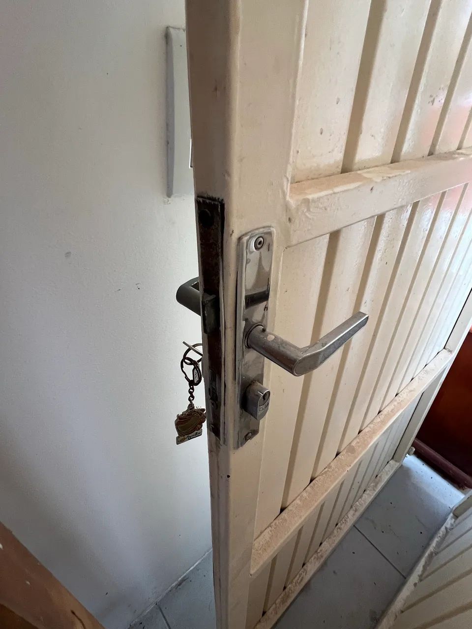 Portas de ferro - Foto 3