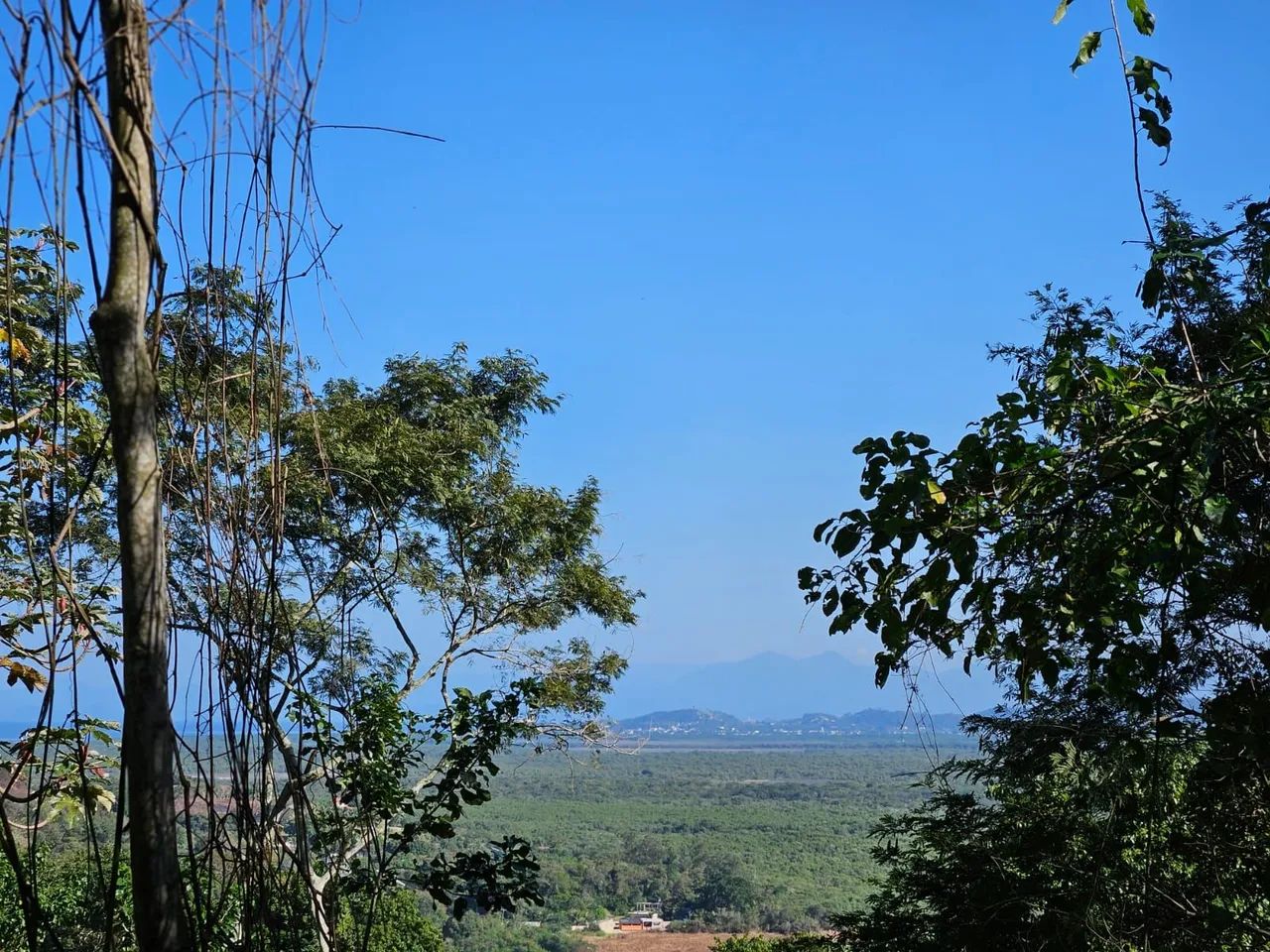 Tereno Barra de Guaratiba  - Foto 4