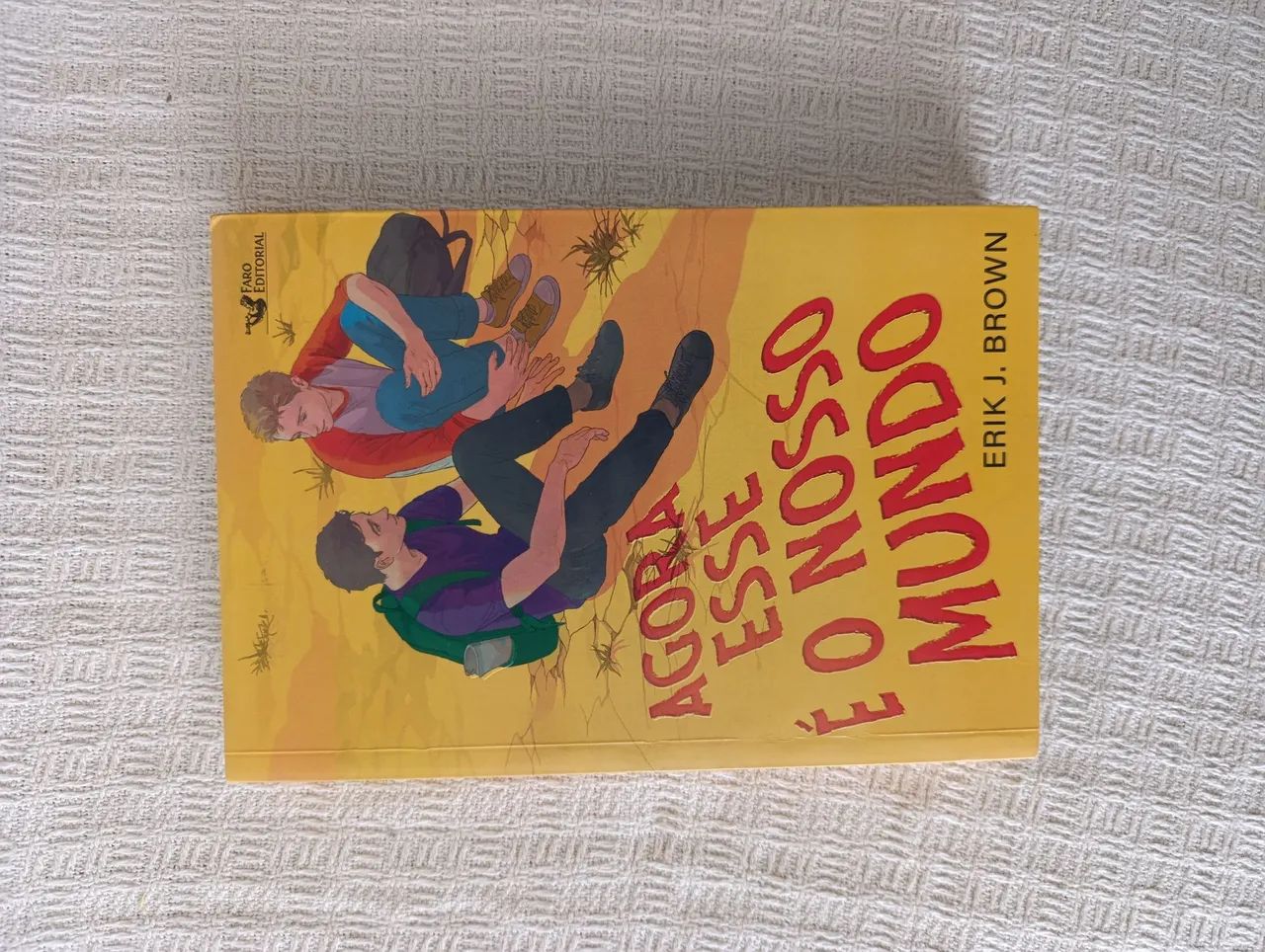 LIVROS EM ÓTIMO ESTADO - Livros e revistas - Pau Amarelo, Paulista