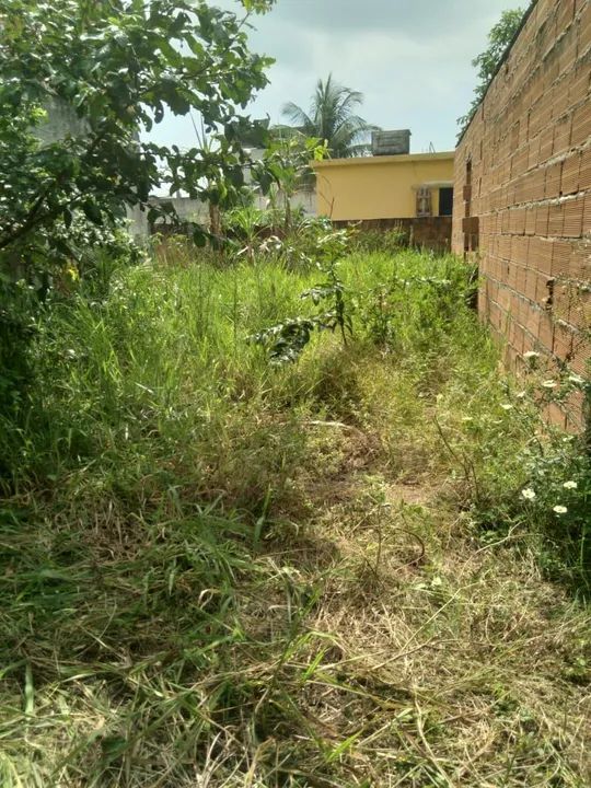 Lote em Itaoca espírito santo 
