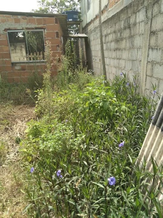 Lote em Itaoca espírito santo  - Foto 3