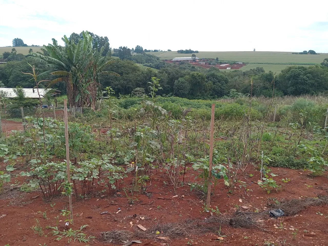 VENDO ou TROCO<br>CHACARA  - Foto 2