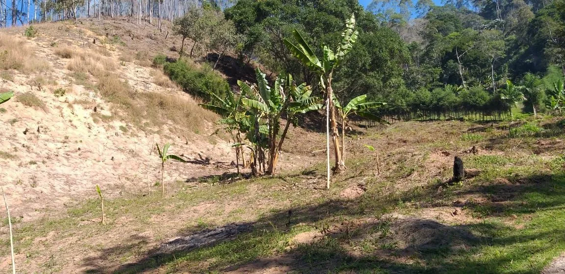 Vendo Terreno para Chácara (Vargem Alta)