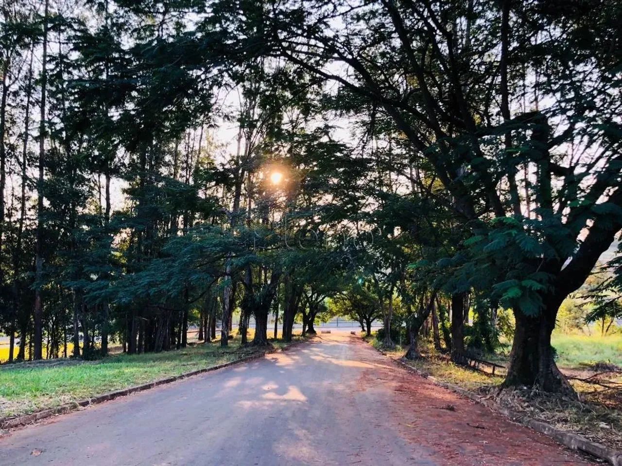 Terreno à venda no Swiss Park, Campinas - Foto 3