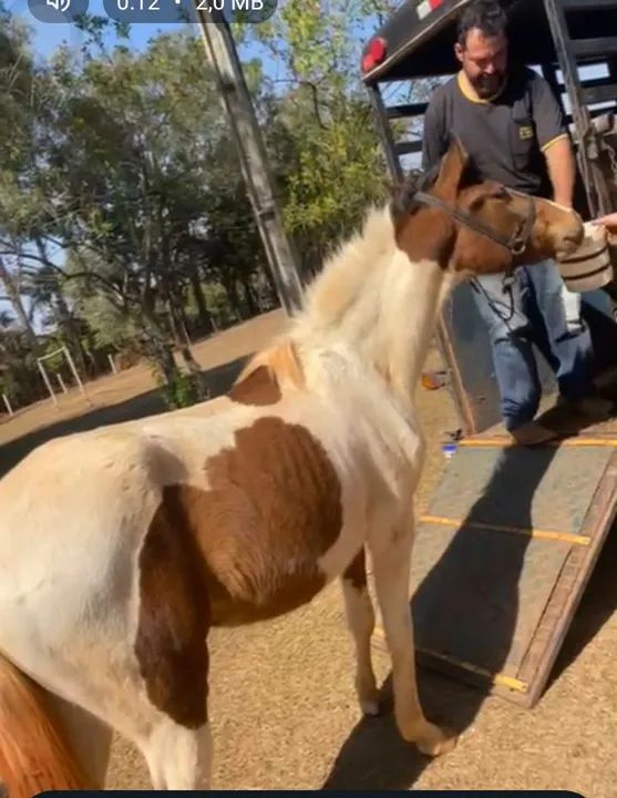 Vendo troco - Foto 2