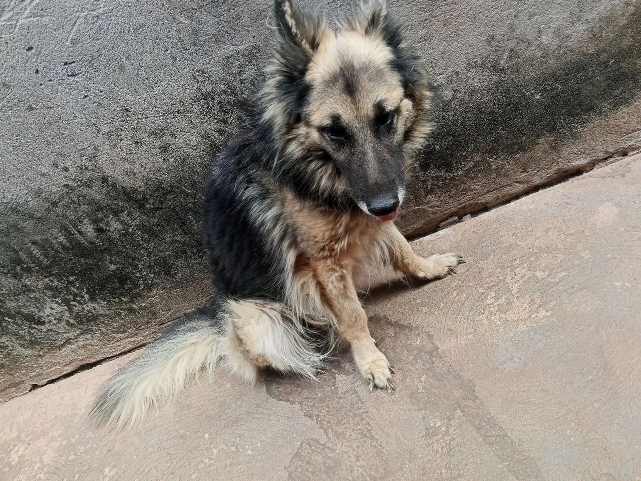 Doação 
